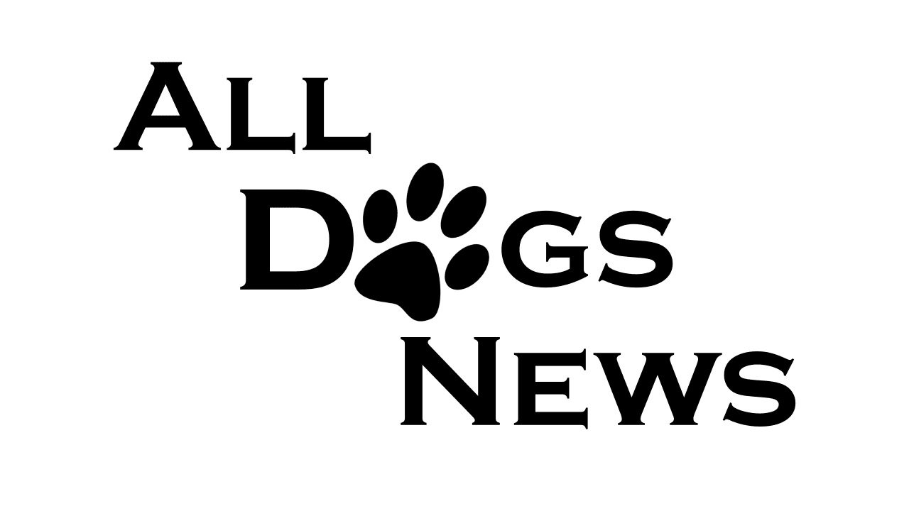 AllDogsNews – newsy ze świata psów | 1 | [FILM]