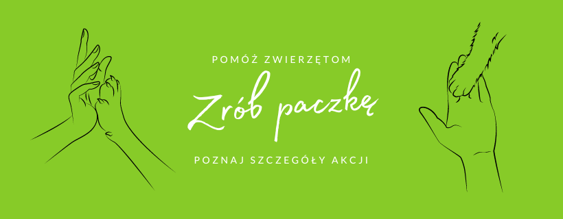 Read more about the article Pomóż zwierzętom – zrób paczkę! Rusza akcja pomocy