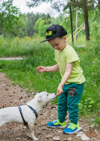 pies i dziecko na spacerze